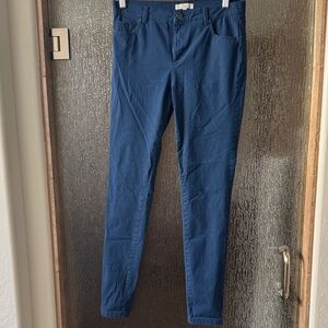 Anatomie Blue Straight Leg Pants